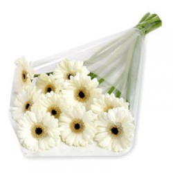 PRF WREATH 12